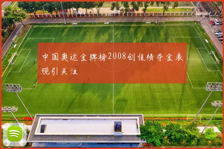 中国奥运金牌榜2008创佳绩夺金表现引关注
